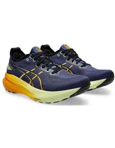 Asics Gel-Kayano 31 1011b867-403